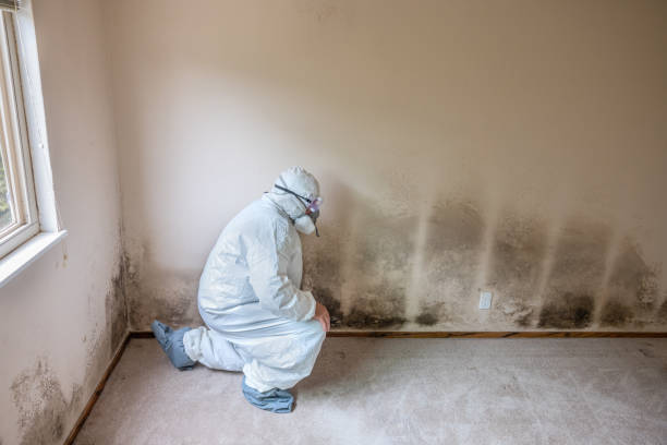 Forensic Mold Investigation in Riverside, NY